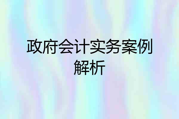 政府会计实务案例解析