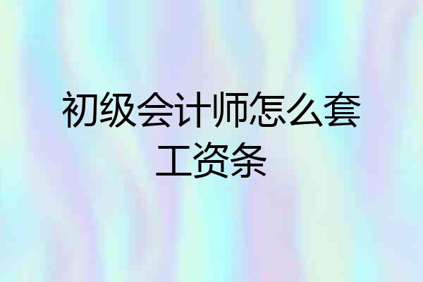 初级会计师怎么套工资条