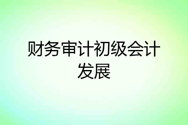 财务审计初级会计发展