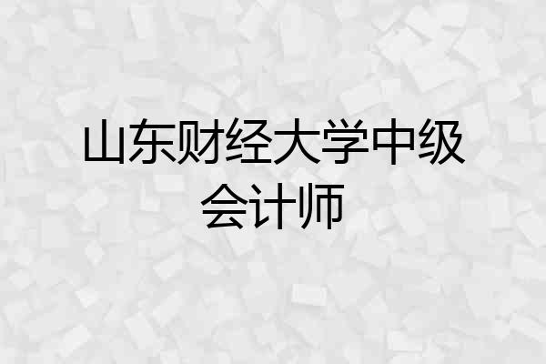 山东财经大学中级会计师