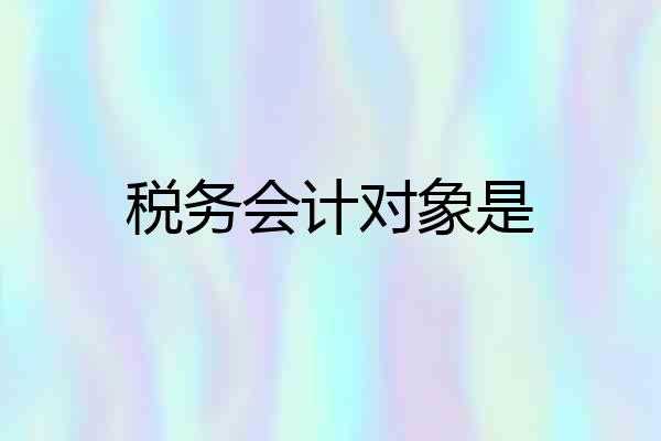 税务会计对象是