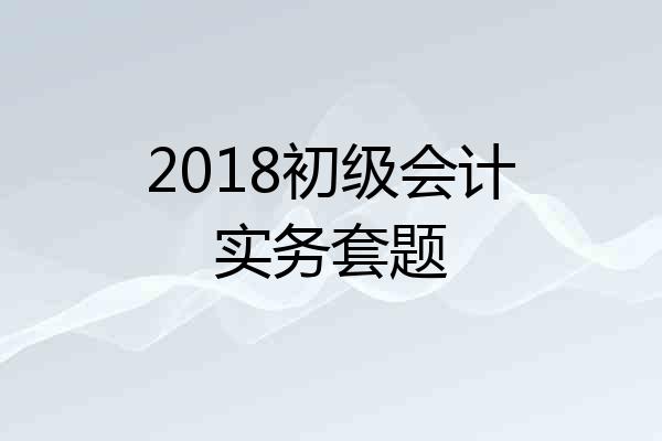 2018初级会计实务套题