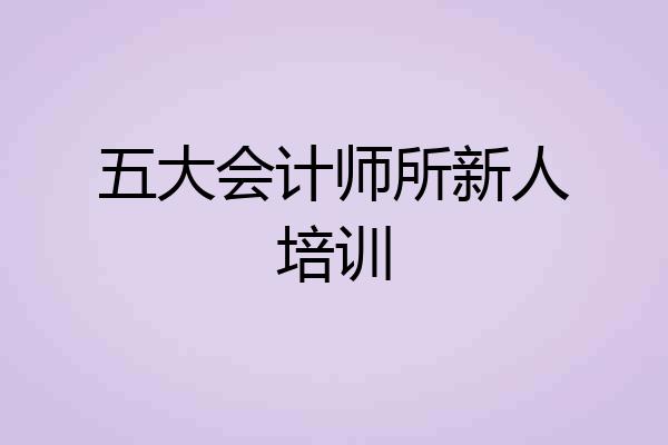五大会计师所新人培训