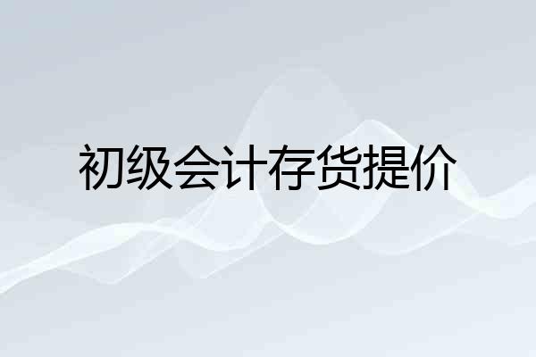 初级会计存货提价