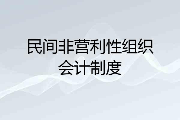 民间非营利性组织会计制度