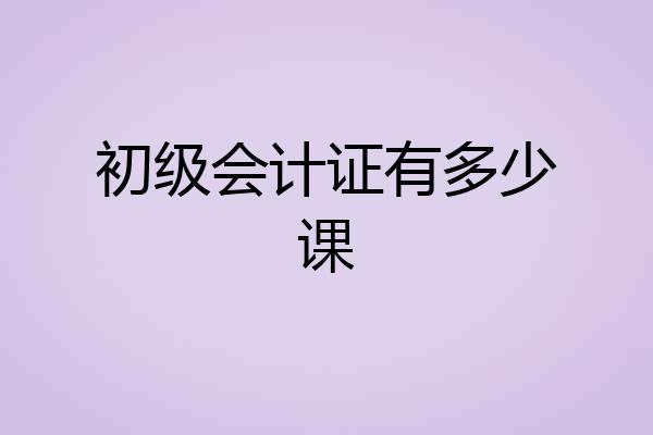 初级会计证有多少课