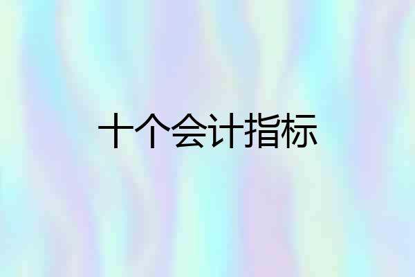 十个会计指标