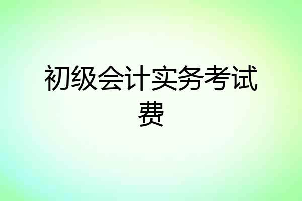 初级会计实务考试费