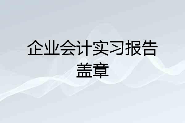 企业会计实习报告盖章