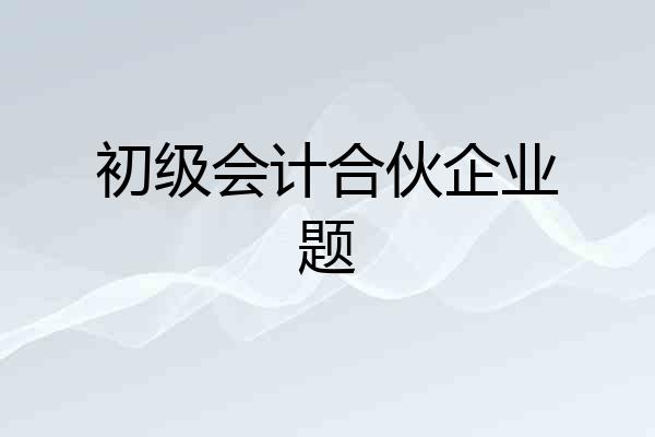 初级会计合伙企业题