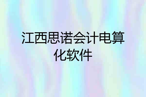 江西思诺会计电算化软件