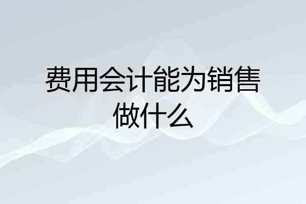 费用会计能为销售做什么