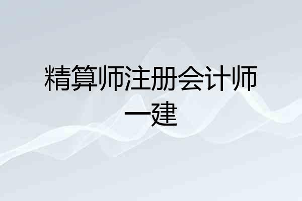 精算师注册会计师一建