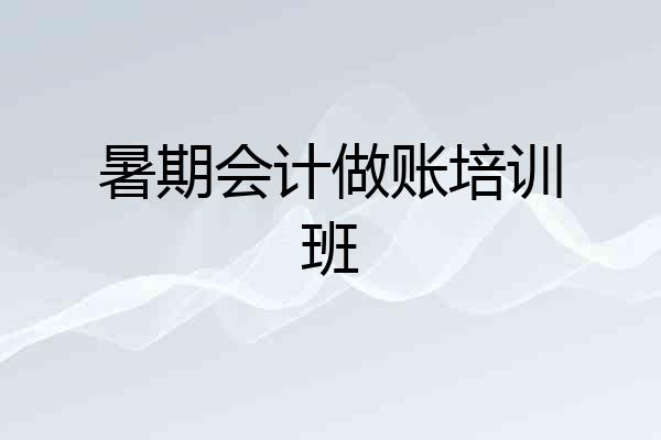 暑期会计做账培训班