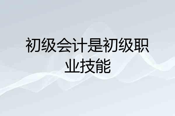 初级会计是初级职业技能