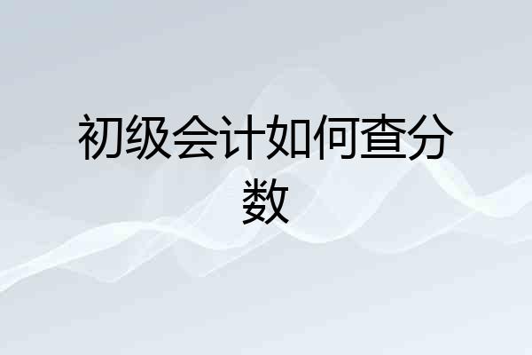 初级会计如何查分数