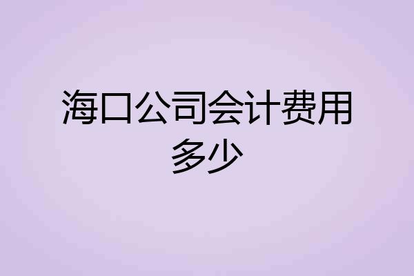海口公司会计费用多少