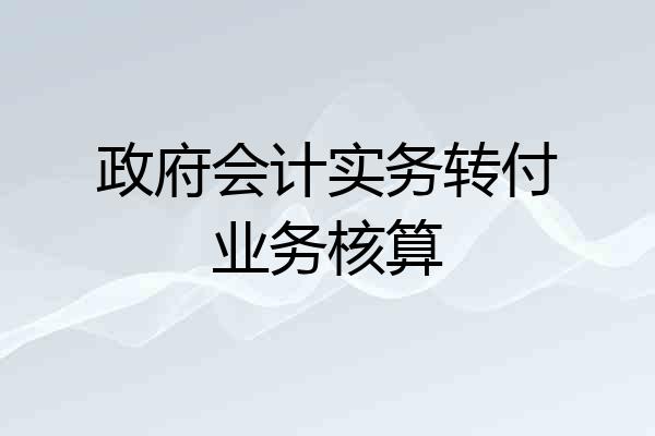 政府会计实务转付业务核算