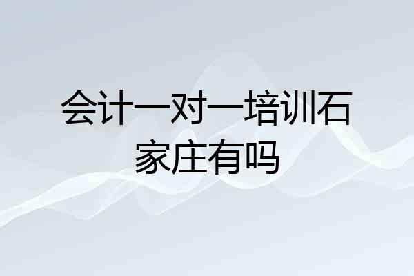 会计一对一培训石家庄有吗