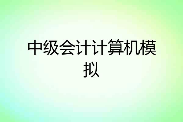 中级会计计算机模拟