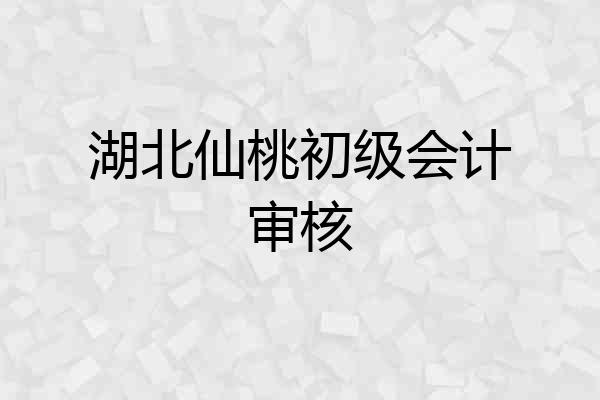 湖北仙桃初级会计审核