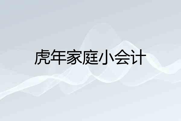 虎年家庭小会计