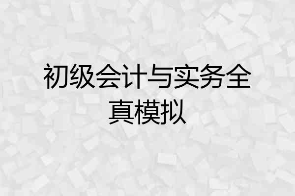 初级会计与实务全真模拟