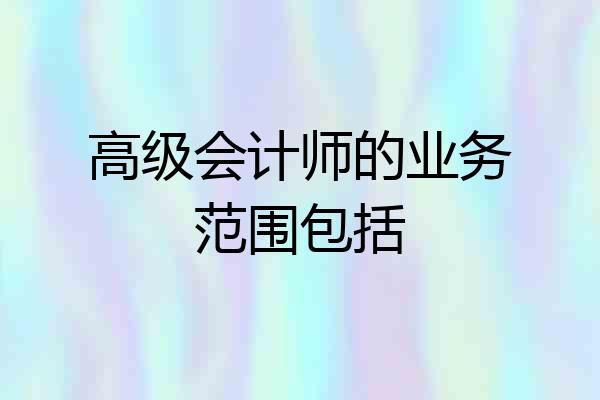 高级会计师的业务范围包括