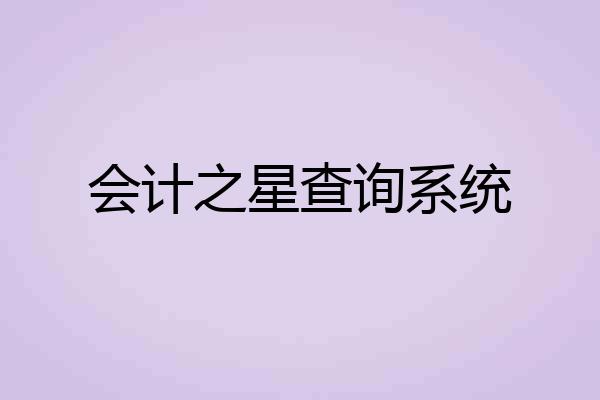 会计之星查询系统