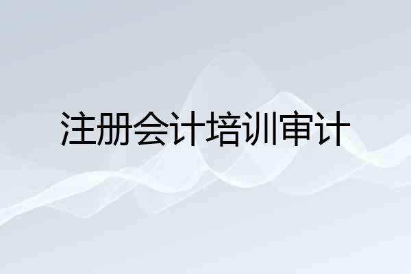 注册会计培训审计
