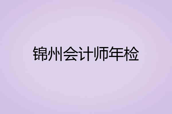 锦州会计师年检