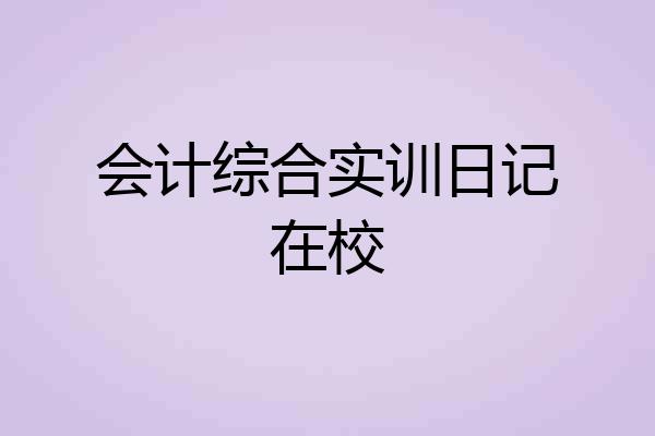 会计综合实训日记在校