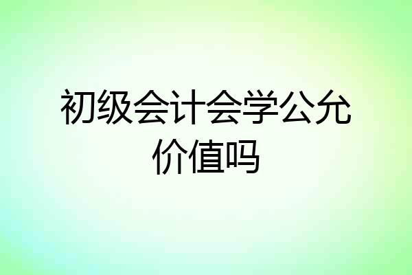 初级会计会学公允价值吗