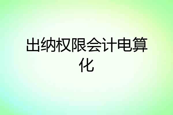 出纳权限会计电算化