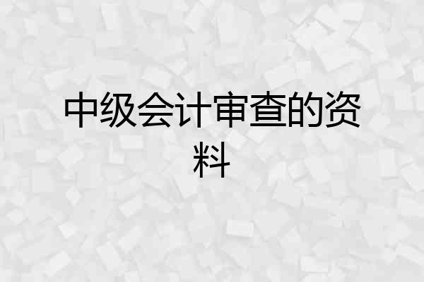 中级会计审查的资料