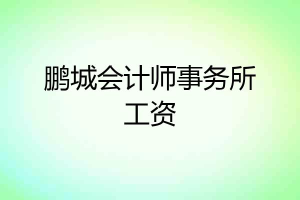 鹏城会计师事务所工资