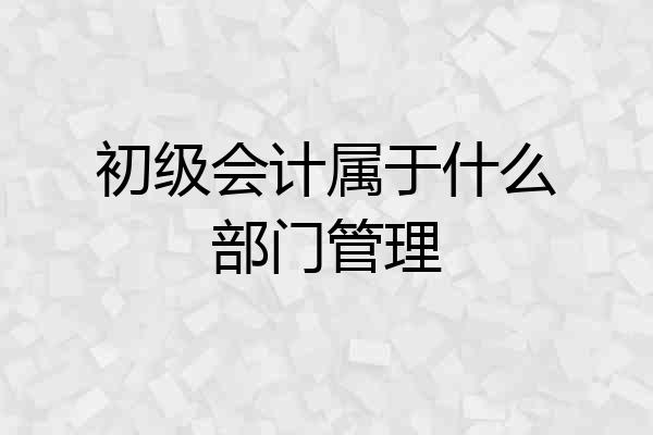 初级会计属于什么部门管理