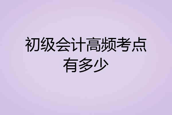 初级会计高频考点有多少