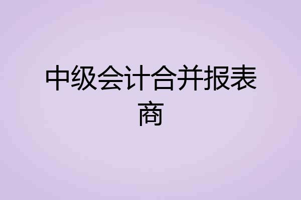 中级会计合并报表商