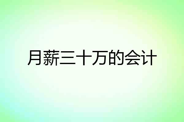 月薪三十万的会计