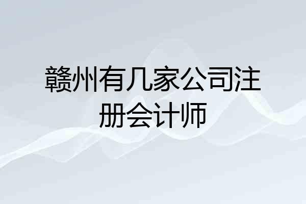 赣州有几家公司注册会计师