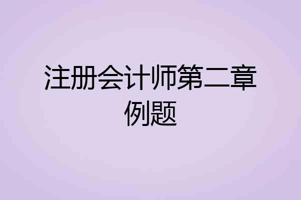注册会计师第二章例题