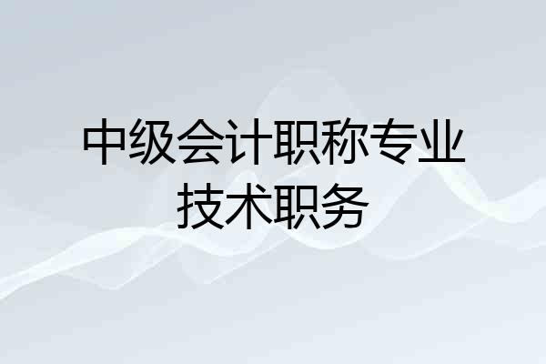中级会计职称专业技术职务