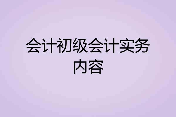 会计初级会计实务内容