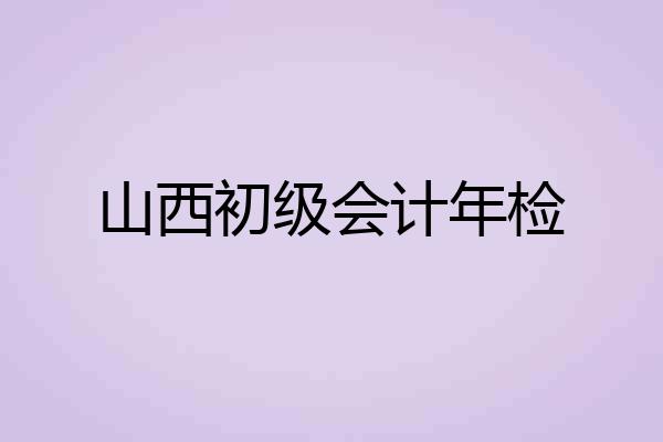 山西初级会计年检