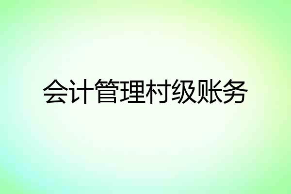 会计管理村级账务
