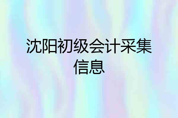 沈阳初级会计采集信息