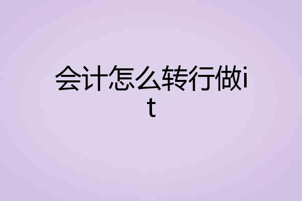 会计怎么转行做it