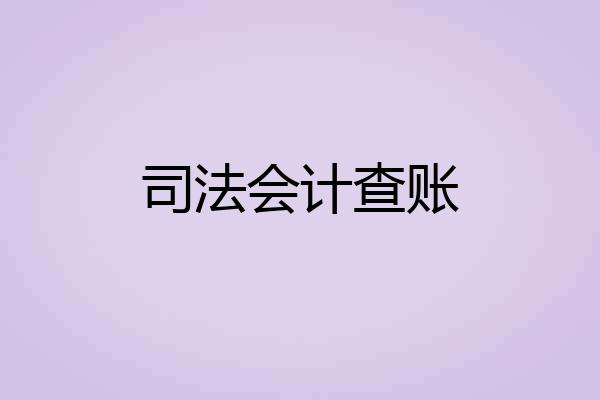 司法会计查账