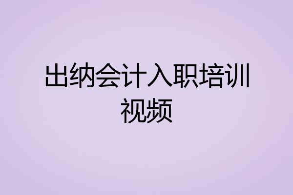出纳会计入职培训视频